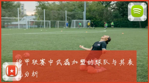 德甲联赛中武磊加盟的球队与其表现分析