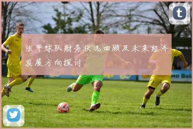 法甲球队财务状况回顾及未来经济发展方向探讨