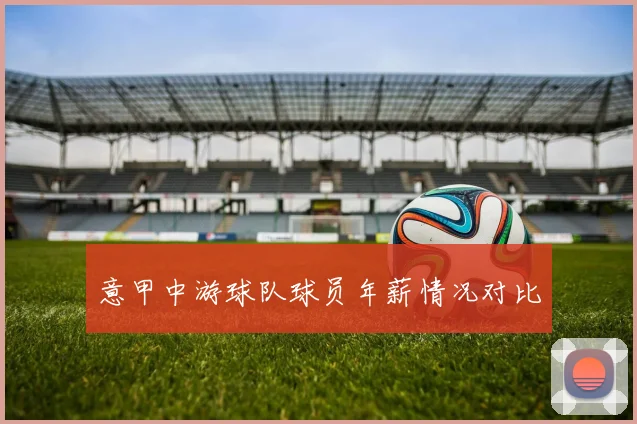 意甲中游球队球员年薪情况对比